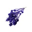 Purple Cardistella Thistles dried flowers | Length ± 60 centimetres | Weight 75 grams
