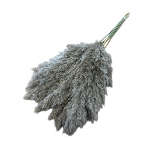 Dutch Dried Natural Brown Pampas Plumes | Length ± 70 centimetres | Per 10 plumes