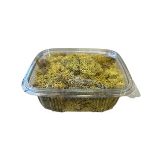 Casa Alegria Yellow preserved Reindeer Moss from Iceland | Packed per 150 grams