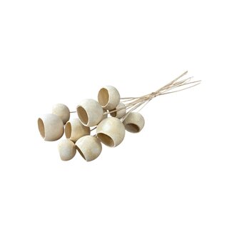 Casa Alegria Dried Bellgums | Colour: White Bleached | Bell Cup Stick | Length ± 40 centimetres | 10 per bunch