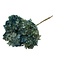 Blauwe Hydrangea | Gepreserveerde Hortensia | Lengte ± 60 centimeter | Per 2 stuks