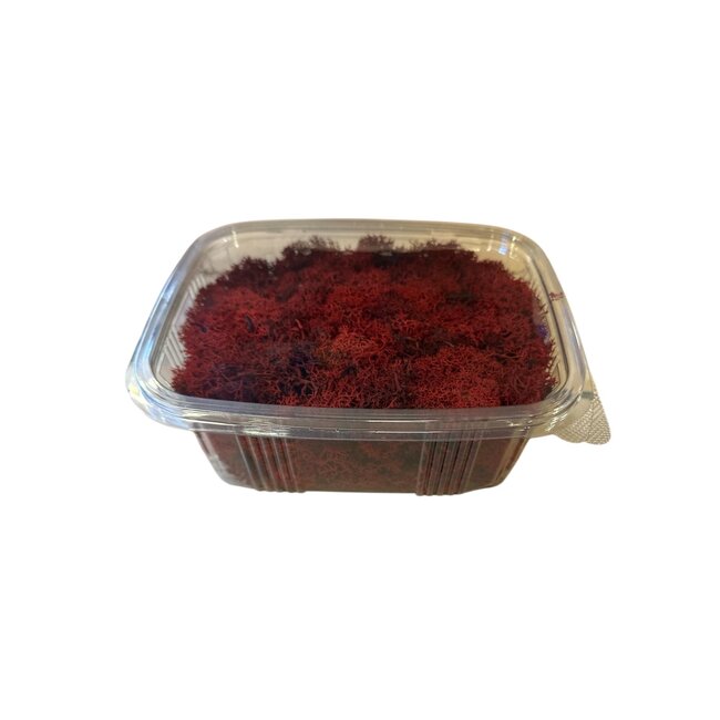 Rotes konserviertes Rentiermoos aus Island | Verpackt pro 150 Gramm