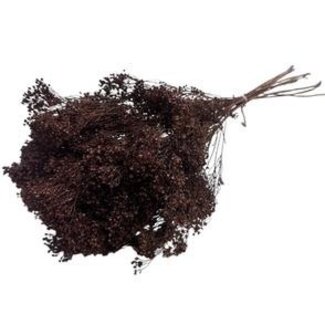Dolce Vita Bloom de bruyère brune fleurs séchées | Longueur ± 55 centimètres | Poids 100 grammes