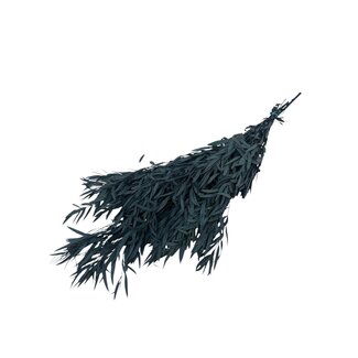 Casa Alegria Eucalyptus Parvifolia Preserved | Natural Green | 150 grams | Length 60 centimetres