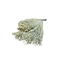 Bloom de Broom blanc fleurs séchées | Longueur ± 55 centimètres | Poids 100 grammes