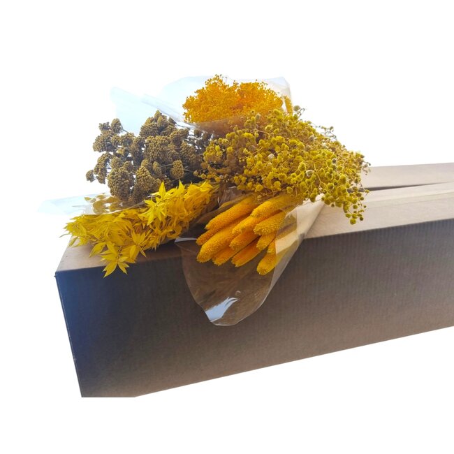 Kit DIY de fleurs séchées "Madrid" | Cinq types de fleurs séchées jaunes dans une boîte
