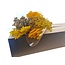 Kit DIY de fleurs séchées "Madrid" | Cinq types de fleurs séchées jaunes dans une boîte