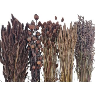 Dried Concepts Dried Flowers DIY Set "Terschelling"