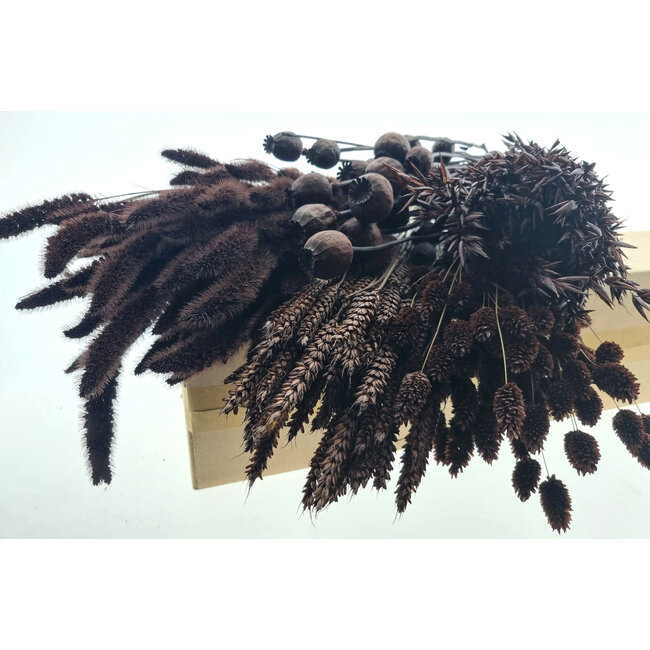 Dried Flowers DIY Set "Terschelling" | Five types of brown dried flowers in a box