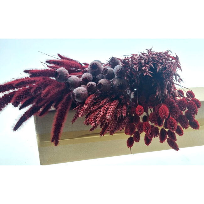 Set de bricolage de fleurs séchées "Rottumeroog" | Cinq types de fleurs séchées rouges dans une boîte
