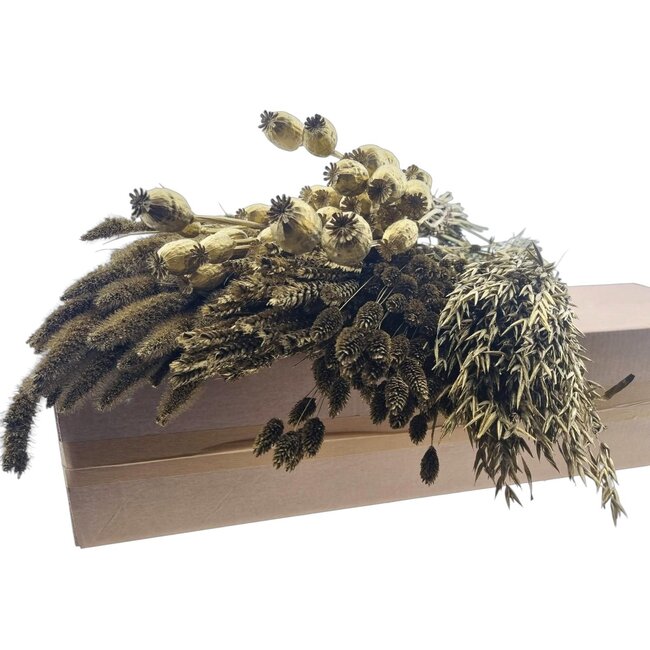 Kit DIY de fleurs séchées "Schiermonnikoog" | Cinq types de fleurs séchées dorées dans une boîte