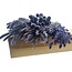 Dried Flowers DIY Set "Vlieland" | Five types of purple dried flowers in a box