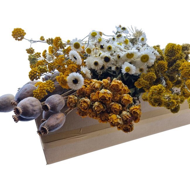 Set de bricolage de fleurs séchées "La Graciosa" | Cinq types de fleurs séchées dans une boîte