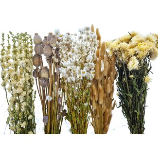 Dried Concepts Droogbloemen DIY set  "El Hierro"