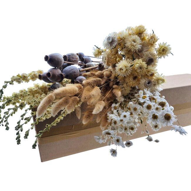 Kit DIY de fleurs séchées "El Hierro" | Cinq types de fleurs séchées dans une boîte
