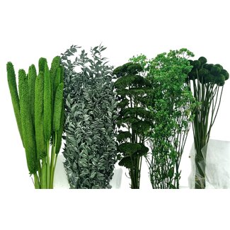 Dried Concepts Trockenblumen DIY-Set "Sevilla"