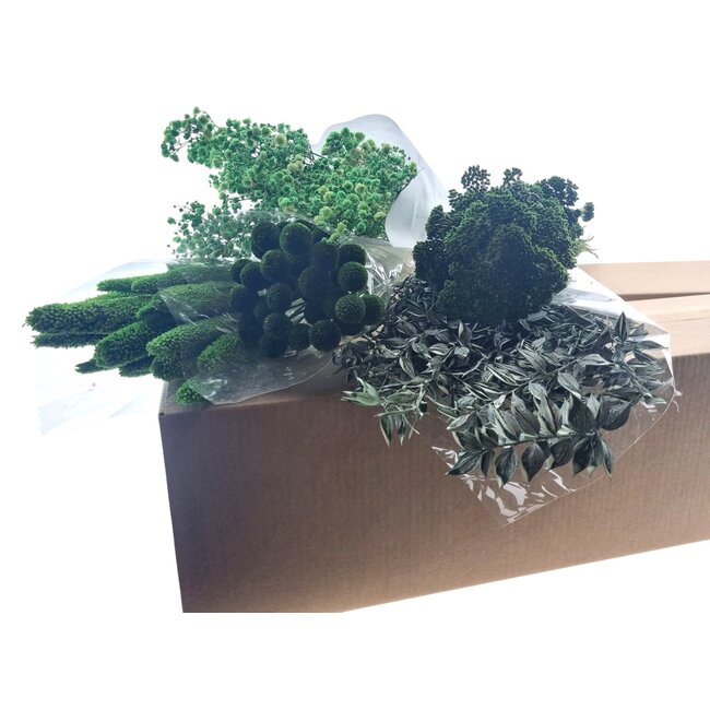 Set DIY de fleurs séchées "Séville" | Cinq types de fleurs séchées vertes dans une boîte