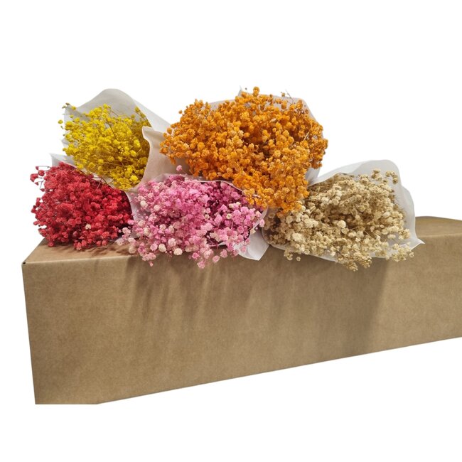 Gypsophile Préservée DIY set "Fuerteventura" | Cinq couleurs de Gypsophile Préservée dans une boîte