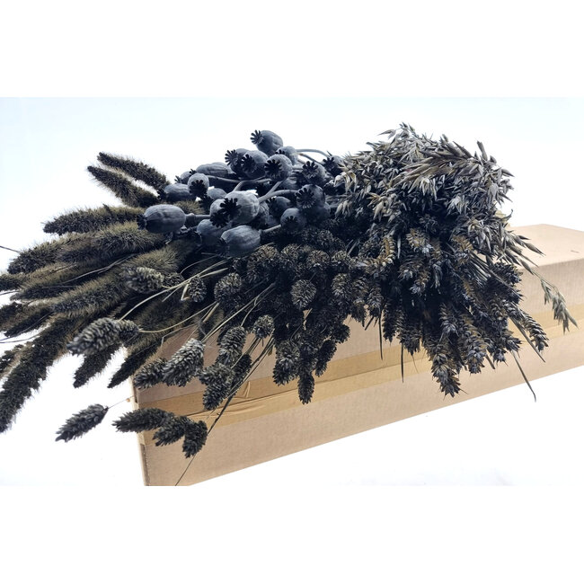 Trockenblumen DIY-Set "Texel" | Fünf Arten graue Trockenblumen in einer Box