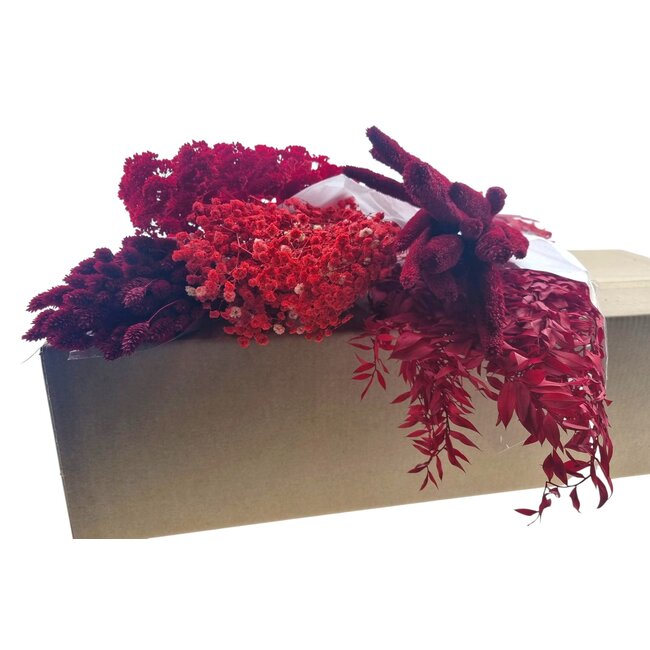 Set de bricolage de fleurs séchées "Malaga" | Cinq types de fleurs séchées rouges dans une boîte