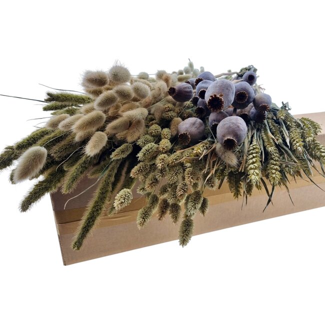 Droogbloemen DIY set "Isla de Lobos" | Vijf soorten droogbloemen in een box