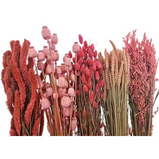 Dried Concepts Dried Flowers DIY Set "Tiengemeten"