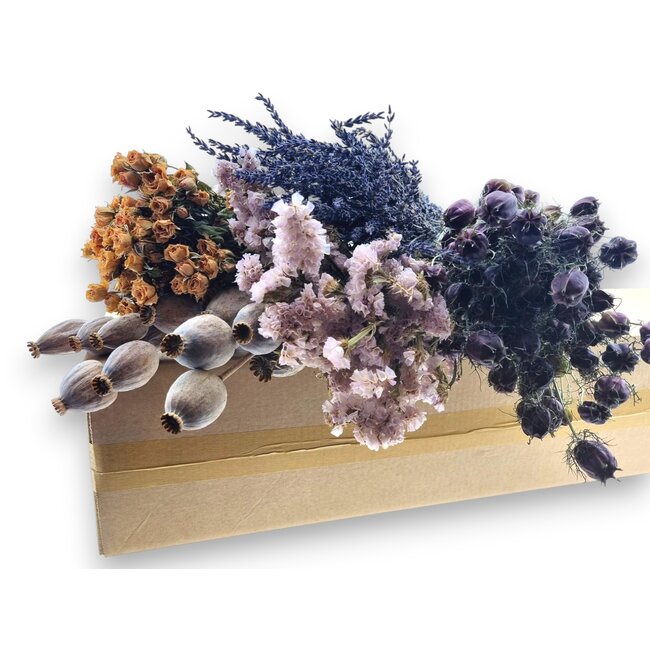 Trockenblumen DIY-Set "La Gomera" | Fünf Arten von Trockenblumen in einer Box