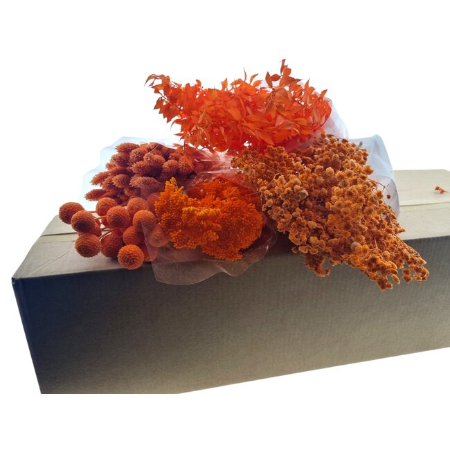 Set de bricolage de fleurs séchées "Bilbao" | Cinq types de fleurs séchées orange dans une boîte