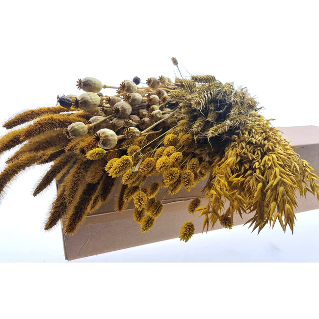 Droogbloemen DIY set "Schokland" | Vijf soorten gele droogbloemen in een box