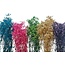 Gypsophile Préservée DIY set "Tenerife" | Cinq couleurs de Gypsophile Préservée dans une boîte