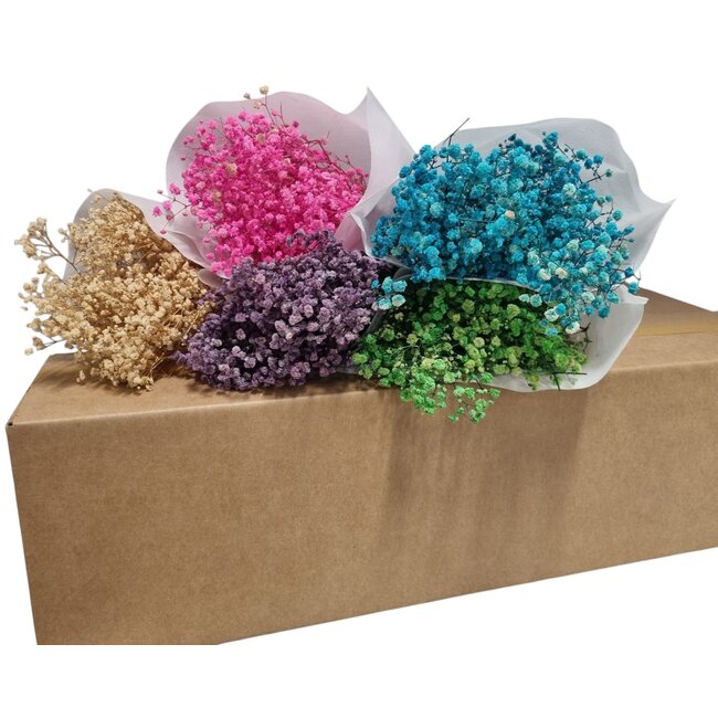 Gepreserveerd Gipskruid DIY set "Tenerife" | Vijf kleuren Gepreserveerde Gypsophila in een box