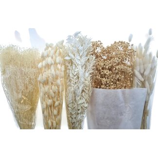 Dried Concepts Dried Flowers DIY Set "Barcelona"