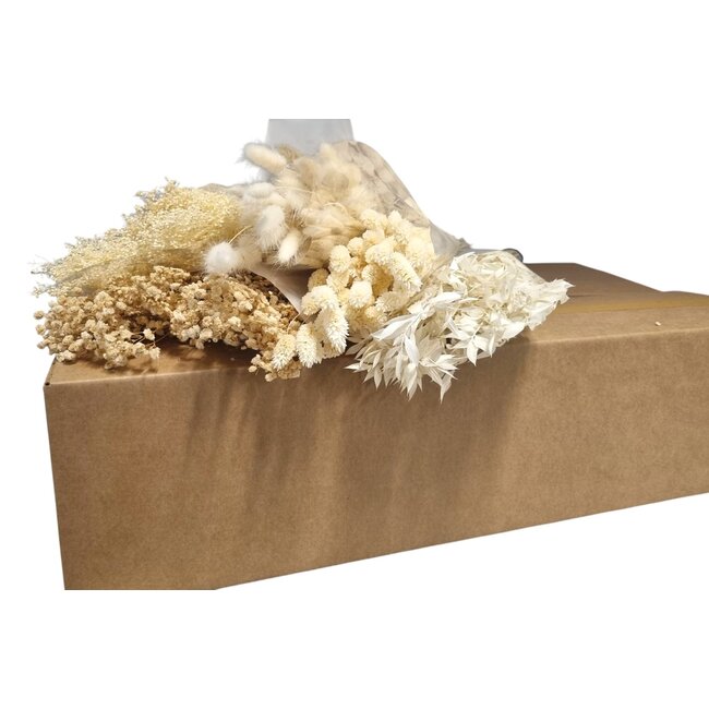 Droogbloemen DIY set "Barcelona" | Vijf soorten wit gebleekte droogbloemen in een box