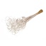 White Curly Ting Ting dried flowers | Length ± 60 centimetres | Weight ± 100 grams