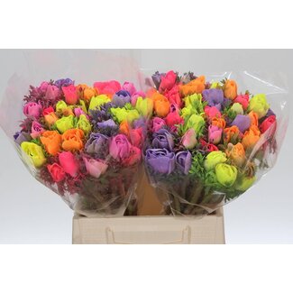 Freshy Anemone Powder X50 Mix