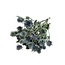 Natural blue Eryngium dried flowers | Length ± 50 centimetres | Per 10 stems