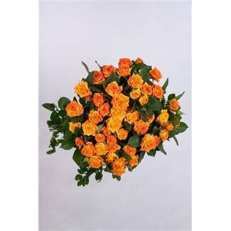 Freshy Roos Tr Orange Peps