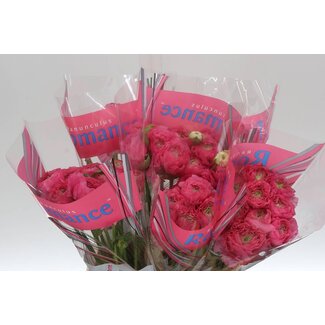 Freshy Ranunculus Romance Louise