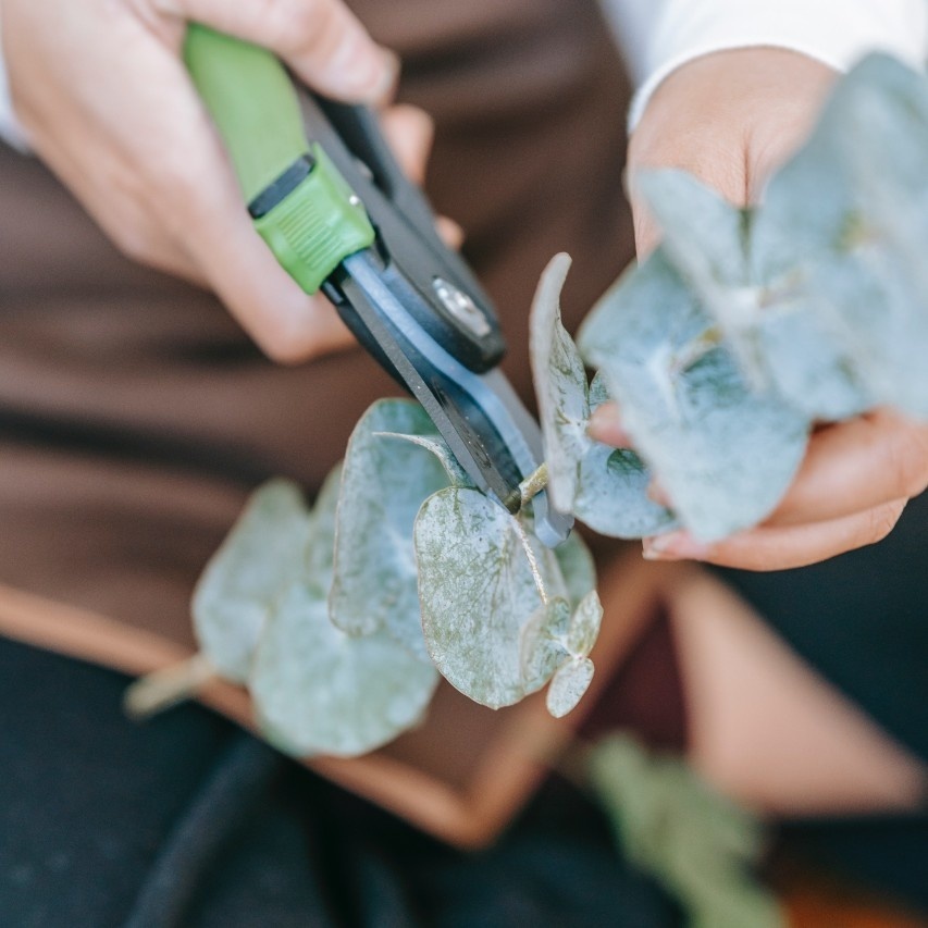 Huis & Hobby: Sfeer en Creativiteit voor professionals | B2B Flowers