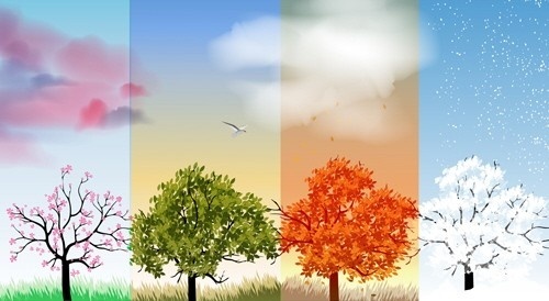 Seizoenen: Geniet van elk Jaargetijde | B2B Flowers