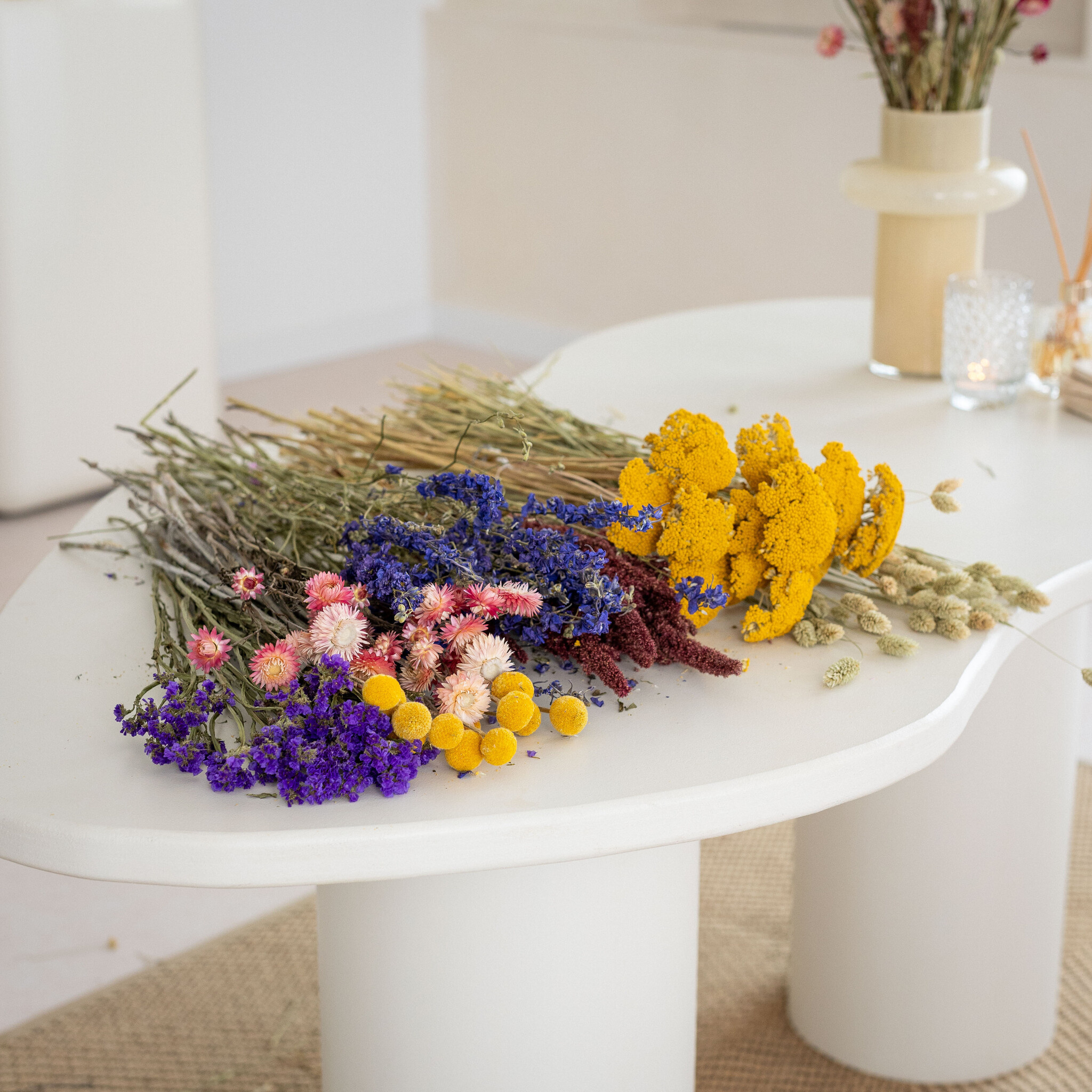 Dried Flowers P - Z: Extensive B2B Selection | B2B Flowers