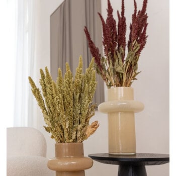 Amaranthus (Amarant)