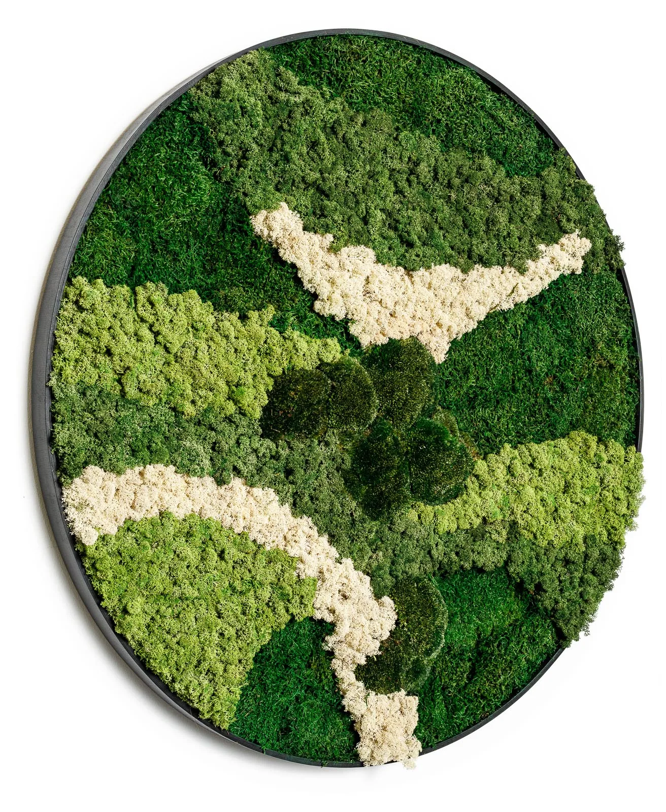 Mosses: Essential Green Decoration for Professionals | B2B Flowers