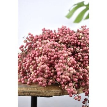 Schinus (Peperbessen)