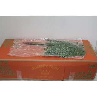 Freshy Ledervaren Ex x35 (vacuum) (p. bos)