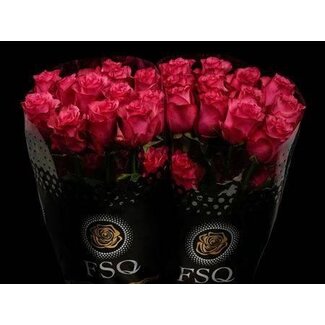 Freshy Grootbloemige Roos “Lola” | Kleur: Roze | Lengte ± 60 centimeter | Herkomst Ecuador | Per 20 stelen