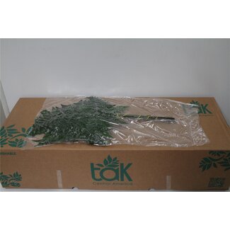 Freshy Ledervaren Ex x35 (vacuum) (p. bos)