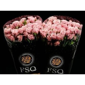 Freshy Spray Pink Majolika