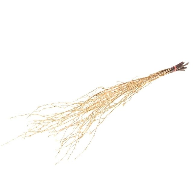 Birch branches | Gold | 60 cm | Per 10 stems