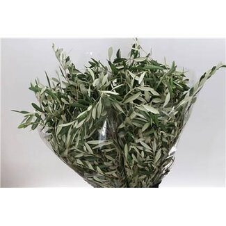 Freshy Olijf 400gr (p. bos)